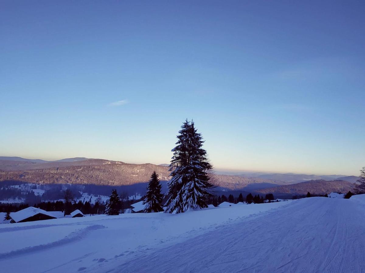 Winterwohnung Almberg Mitterfirmiansreut Esterno foto