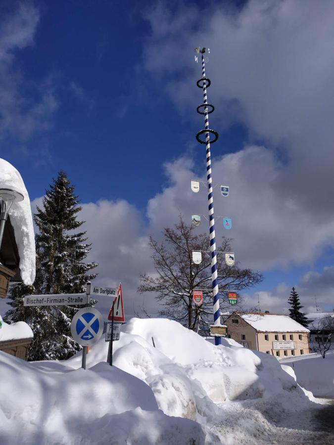 Winterwohnung Almberg Mitterfirmiansreut Esterno foto