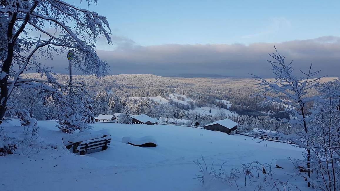 Winterwohnung Almberg Mitterfirmiansreut Esterno foto